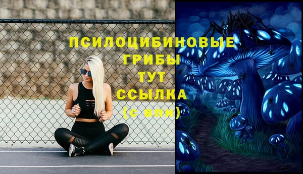 mdpv Беломорск
